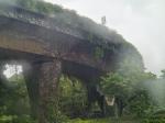 Vegetated flyover / overpass, Fuzhou, Fujian, China
