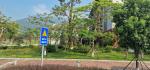 Putian University Campus - planted road vegetation