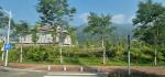 Putian University Campus - planted road vegetation