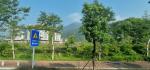 Putian University Campus - planted road vegetation