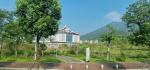 Putian University Campus - planted road vegetation