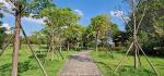 Shady plantings at FZU National Science Park, Fuzhou, Fujian, China. 