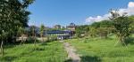 Shady plantings at FZU National Science Park, Fuzhou, Fujian, China. 