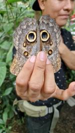 Indigenous Costa Rican wild life protector and researcher showing the 