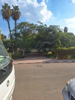 A little oasis on uni