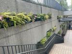 Green facade Osaka