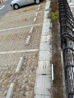 Porous paving in parking area 