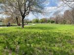Jackson Park user enjoying a new path and views over lagoon and sedge meadow.