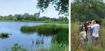 View over lagoon with native plants thriving and bird watchers.