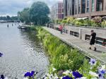 Drijvend Groen aan de Bickerswerf