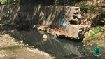 Upstream Butuanon River 2025 | Dhanica Cariliman