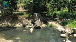 Upstream Butuanon River 2025 | Dhanica Cariliman