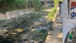 Upstream Butuanon River 2025 | Sheila Cuario