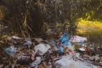 Trashes along the river