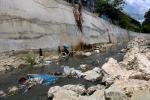 Pollution on the Survey Area
