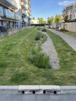 Infiltration swale on Starowiejska street