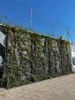 Green wall next to Forum