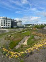 Rain Garden at the Kaskada Jaień Housing Estate in Gdańsk - Sustainable Water Management