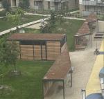 green roof