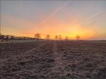 Zonsondergang in de achtertuin