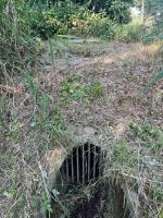 Fieldvisit 13th of june 2025 - credit by Antal Zuurman