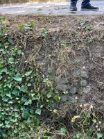 Fieldvisit 29nd of august 2025 - credit by Antal Zuurman