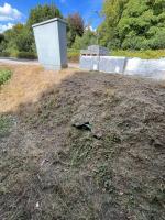 Fieldvisit 29nd of august 2025 - credit by Antal Zuurman