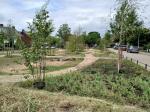 Credit Photo by Nick Bontrop, gemeente Nijmegen