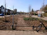 Credit Photo by Nick Bontrop, gemeente Nijmegen