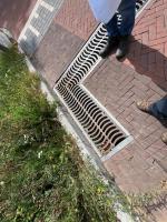 Fieldvisit 21st of august 2025 - credit by Antal Zuurman