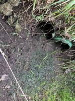 Fieldvisit 29nd of august 2025 - credit by Antal Zuurman