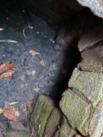 Fieldvisit 29nd of august 2025 - credit by Antal Zuurman