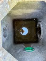 Fieldvisit 29nd of august 2025 - credit by Antal Zuurman