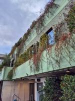 Fieldvisit 22 December 2024 - by Ruben Matahelumual