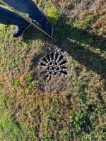 Fieldvisit 29nd of august 2025 - credit by Antal Zuurman