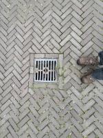 Fieldvisit 18th of september 2025 - credit by Antal zuurman