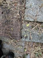 Fieldvisit 18th of september 2025 - credit by Antal zuurman