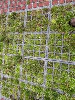 Fieldvsvisit 6th of oktober 2025 - credit by Antal Zuurman