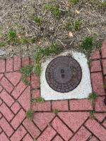 Fieldvsisit 6th of oktober 2025 - credit by Antal Zuurman