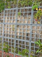 Fieldvsvisit 6th of oktober 2025 - credit by Antal Zuurman