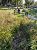 Fieldvisit 21st of august 2025 - credit by Antal Zuurman