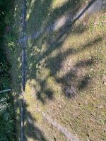 Fieldvisit 21st of august 2025 - credit by Antal Zuurman