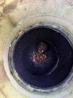 Fieldvisit 2nd of october 2025 - credit by Antal Zuurman