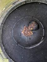 Fieldvisit 2nd of october 2025 - credit by Antal Zuurman