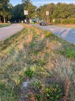 Fieldvisit 2nd of october 2025 - credit by Antal Zuurman