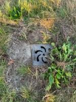 Fieldvisit 2nd of october 2025 - credit by Antal Zuurman