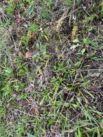 Fieldvisit 18th of september 2025 - credit by Antal zuurman