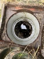 Fieldvisit 18th of september 2025 - credit by Antal zuurman