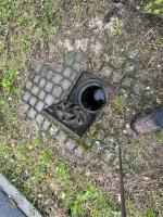 Fieldvisit 18th of september 2025 - credit by Antal zuurman