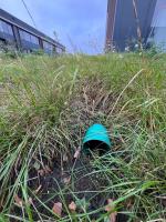 Fieldvisit 18th of september 2025 - credit by Antal zuurman